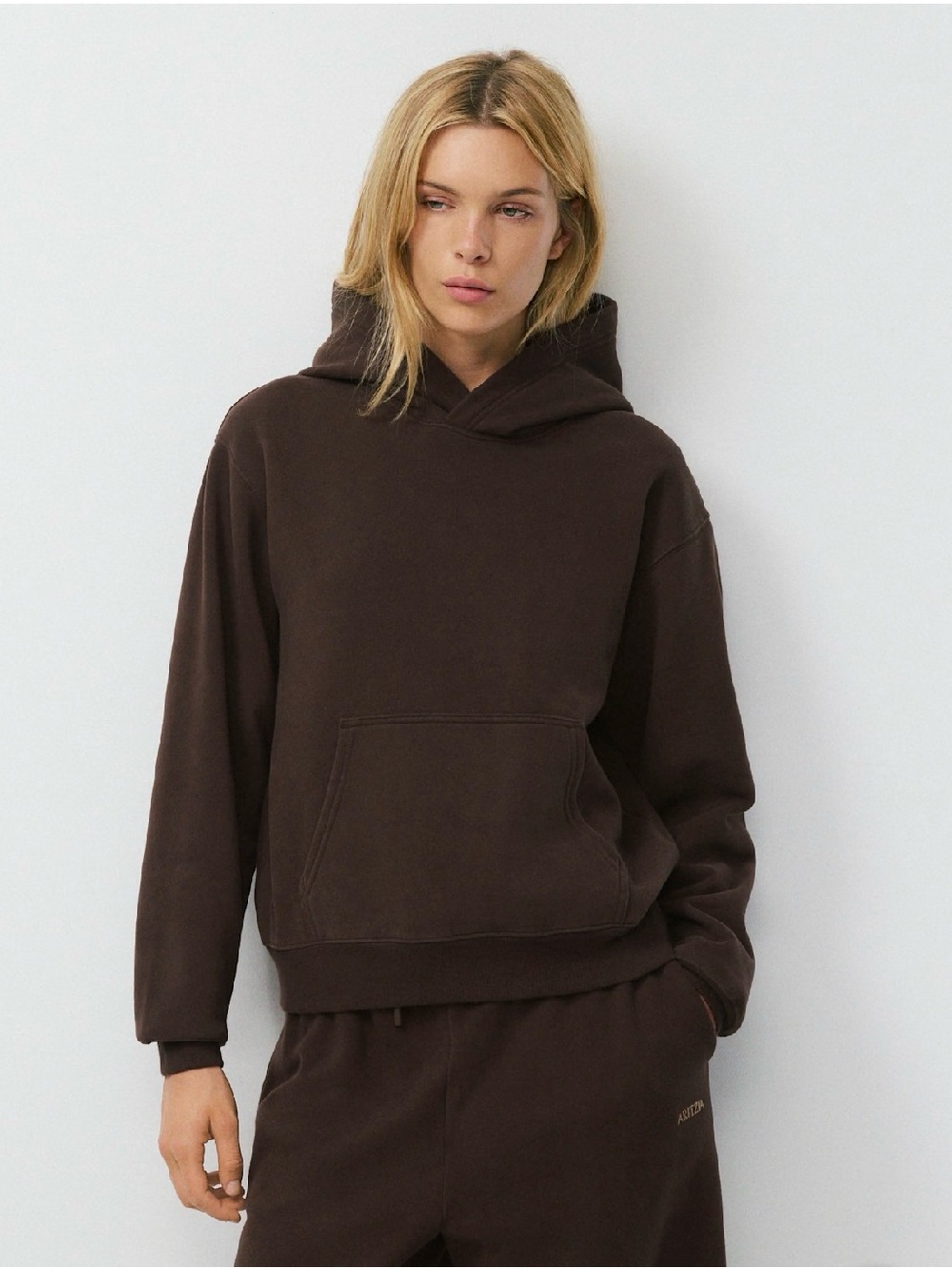 Aritzia Sweatfleece Perfect Fit Hoodie